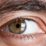 Diabetes Symptoms in the Eyes: An Insight into Diabetic Eye Diseases